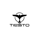 Tiësto EDM 2015