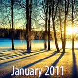 1.22.2011 Tan Horizon Shine
