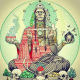 Changaleros - Cosmic Touch of the Toad