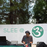 Slee @ 3 Degrees 2015