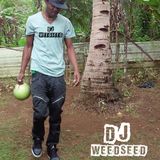 Dj Boom Introducing Dj WeedSeed On KDLR KEEP DI LINK RADIO Interview With Cyborg