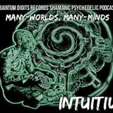 Quantum-D Podcast #009 - Intuitiu - Many-worlds, Many-minds