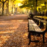 Mixcloud Weather: Autumn