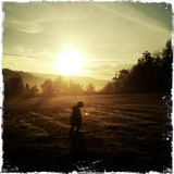 Wandering
