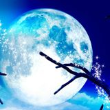 Mellow Tracks Agosto 2013 (Mixado por Magal)