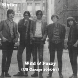 Sixties - Wild & Fuzzy (US Garage Punk 1965-67)