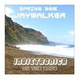 Indietronica on the Wave - Spring 2015