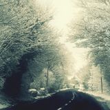 12.05.13 - FOR NOW I AM WINTER