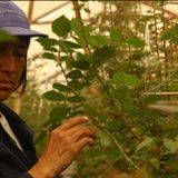 Pt. 13: War on Want - Food Sovereignty