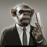 Mixripper- Apemix2014-06-29