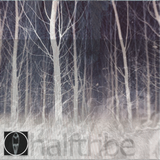 Forest Bathing