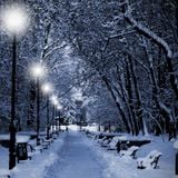 Tales of Winter Storms