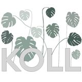 KOLL Koll - (120416)
