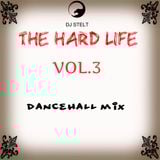 DJ STELT - THE HARD LIFE VOL.3 DANCEHALL MIX 2016