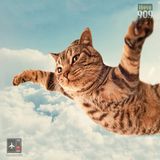 Modo Avión #34