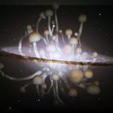 JaZzf(x) deep space radio exploration #3
