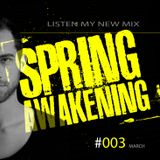 Spring Awakening #003