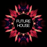 Best of Future House