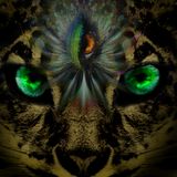 ˚Cub Emerald˚ minimal tech house warm cosmic kitten pile