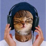 Bootsncats #029: Boots Ft Cats: Rootsncats Special