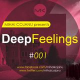 Mihai Cojanu - Episode #033 - Deep Feelings 1