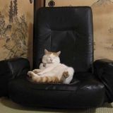 Mondayitus Vol. 1