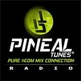 Pure EDM connection By faureste for Pineal Tunes radio