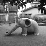 Rodolphe Coster - Elephant Dj set / Le Pacifique - Belgium Collection 13