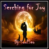 Searchin For Joy