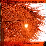 Consciousness Federation-SoularGroove