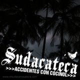 SUDACATECA >Accidentes con Cocinol<