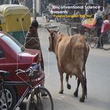 Unconventional Science Presents "Purana Sangeet tik hai"