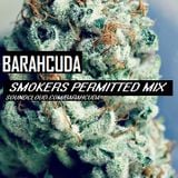 Barahcuda - Smokers Permitted Mix (22 Mins of Reggae Dub, Dubstep & Chill Shit)