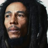 Tribute To The Wailers "The Island Years"