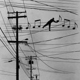 Music For The Soul