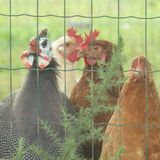 The hen conference session