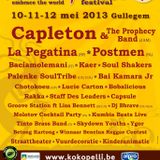 Soul Input Radio 07-05-2013: Kokopelli World Festival 2013