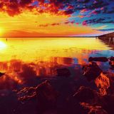Trance 4 Life vol. 96