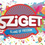 Martin Garrix - Live @ Sziget Festival Budapest 2015 - 15.08.2015