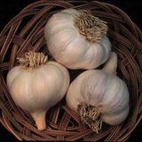 GarlicAssSuperMix