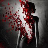 Schlager - Essence
