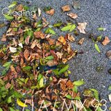 IA MIX 93 Giegling