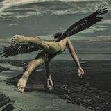 Fly ☢