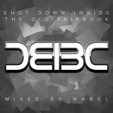 Bad Company: Shot Down Inside The Digital Book