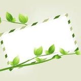 A qualcuno Piace Verde - Nozze Bio - Consus 3