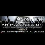 SESION TEQUILA JUEVES 31-07-2014