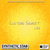 Lasting Sunset 2