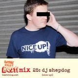 Bestimix 25: DJ Shepdog (NICE UP!)