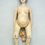 PREGNANT JOKER-IRRADITIONS CKOLERIK
