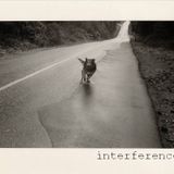 interferences - dogs